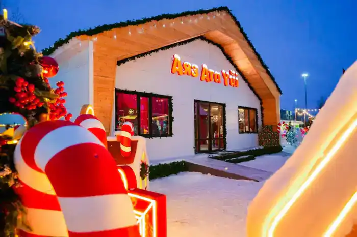 Более 40 новогодних ёлок одновременно зажгли в Астане (10)