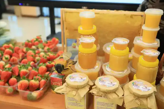 Успех программы «Ауыл аманаты»: открытие более 500 бизнесов и создание тысяч рабочих мест в сельской местности