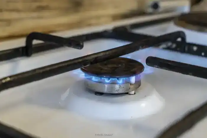 Жетісу: 99,9% населённых пунктов с централизованным водоснабжением, уровень газификации достигнет 72%