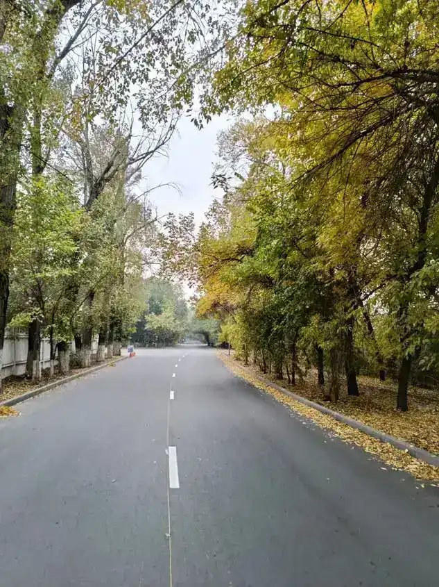 В Алматы завершен средний ремонт улиц во всех районах города (4)