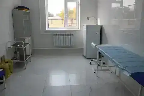 В Карасайском районе открываются три новых медицинских объекта