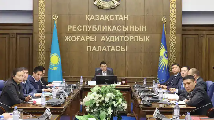 Обсуждение мер по повышению эффективности ревизионных комиссий в рамках международного сотрудничества в ВАП РК