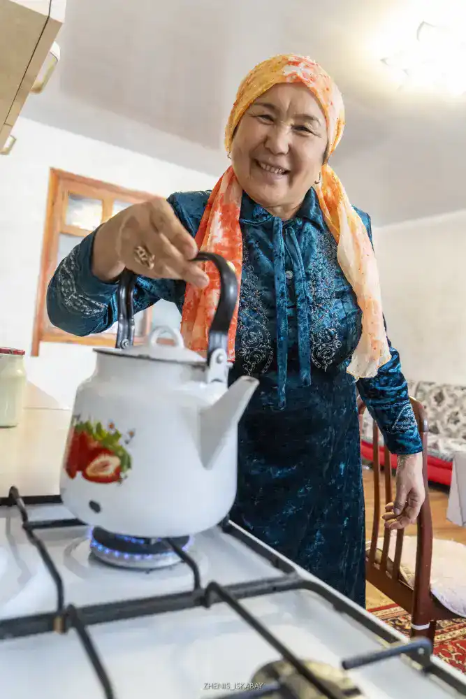 Итоги года в Жетісу: число газифицированных населенных пунктов достигло 126 (7)