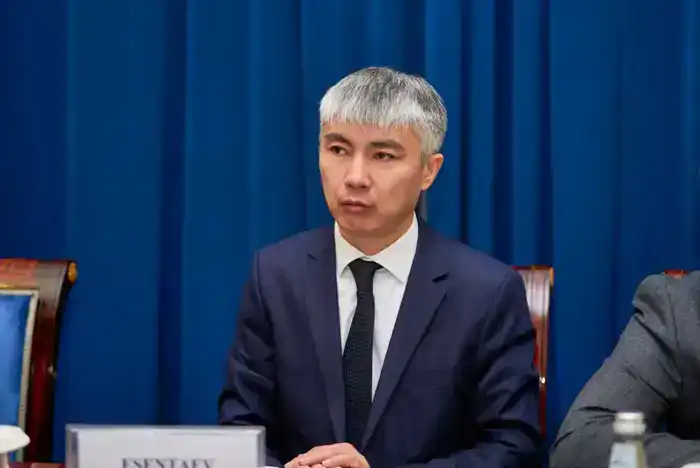 Аким ВКО провел ряд встреч с зарубежными инвесторами (7)