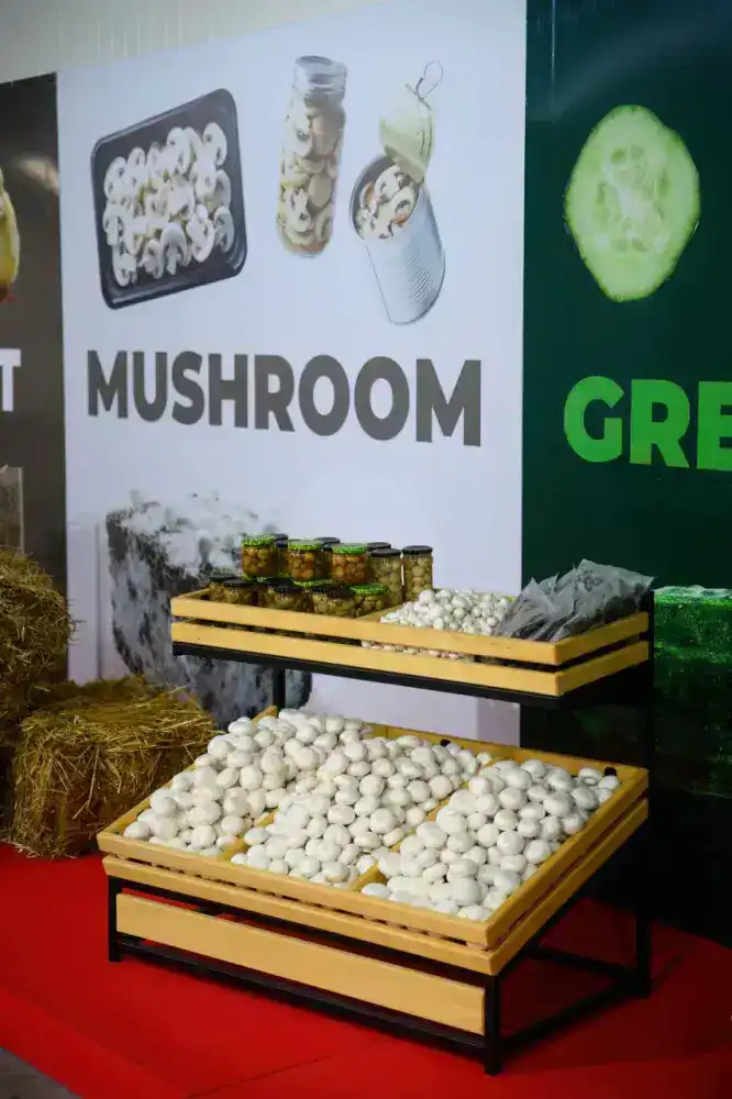 Самая крупная грибная ферма открыта в регионе (4)