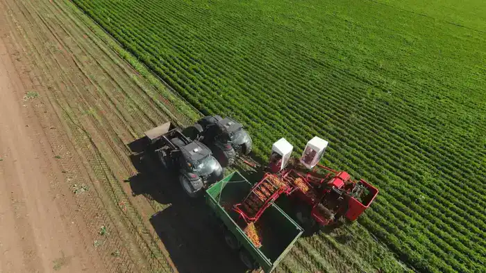 Акмолинская область увеличивает инвестиции на 52,3%, создавая новые рабочие места