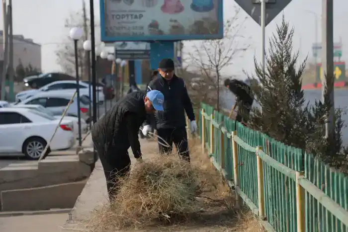 Сообщество объединяется для улучшения чистоты и красоты улиц в районе