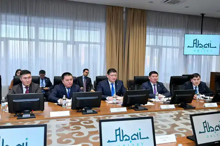 Семей и Курчатов получат индийские инвестиции