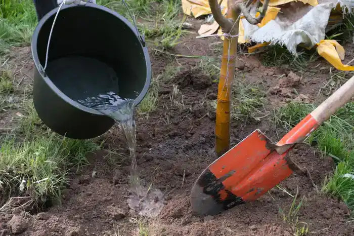 Экологические проекты для города являются приоритетными – аким Алматы (2)