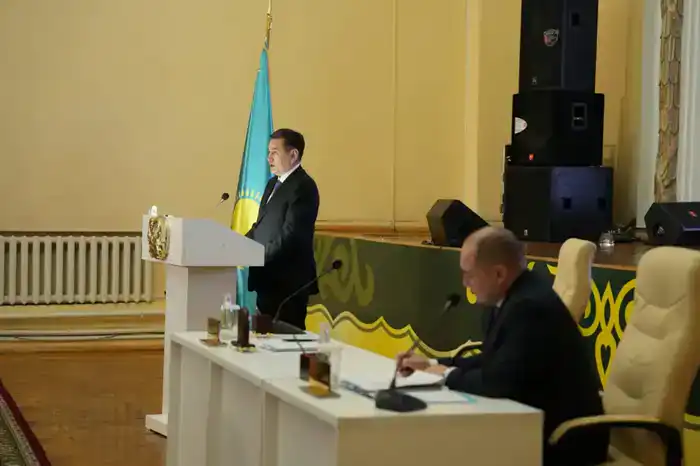 Более 120 млрд. тенге инвестиций планируется привлечь в район Алтай до 2029 года (3)