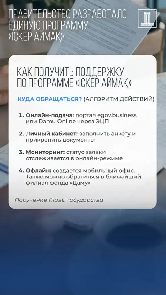 Реализация поручений Президента: Правительство представило единую программу поддержки малого бизнеса «Іскер аймақ» (3)