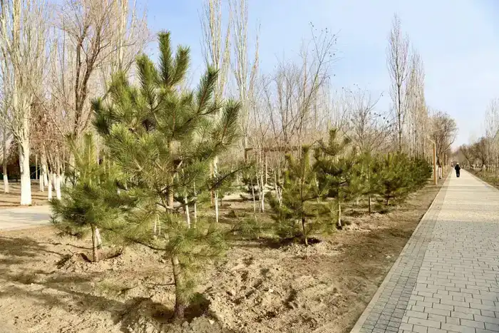 Город расцветает: новые оазисы отдыха для горожан