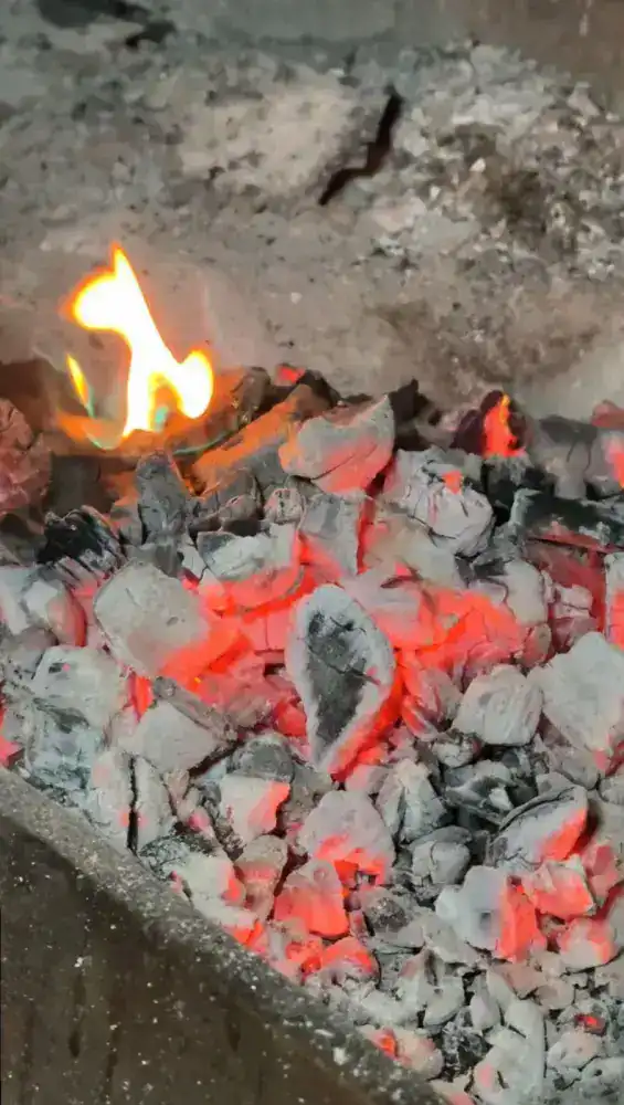 В Алматы усилили контроль за общественными заведениями, нарушающими экологические нормы