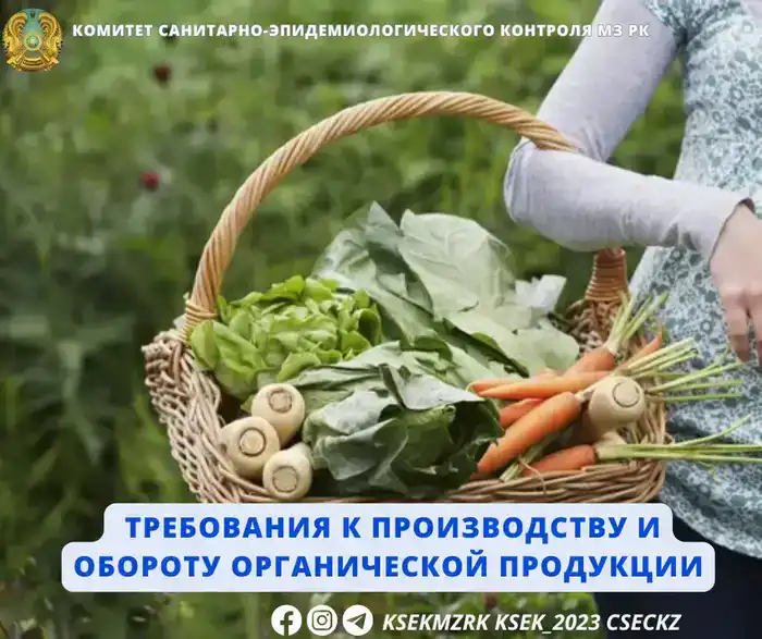 Органические продукты: как выбрать в нашем городе?
