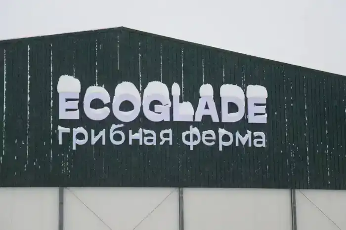 Казахстан открывает крупнейшую грибную ферму для увеличения внутреннего производства