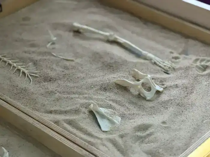 Семинар «В мире профессий» прошел в детском саду №84 «Каусар» в Астане