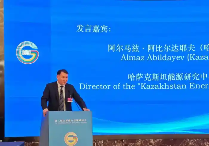 В Шанхае обсудили сотрудничество Казахстана со странами Глобального Юга (4)