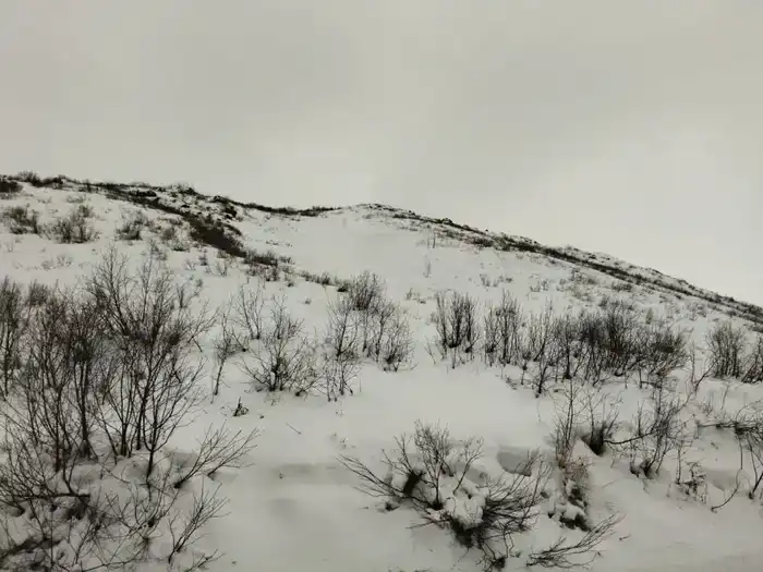 В ВКО проводится мониторинг за лавинной обстановкой (4)