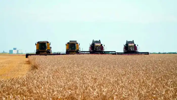 Крыша для урожая: Казахстан запускает программу кредитования для обновления элеваторов