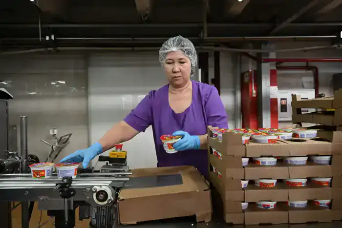 В области Жетісу объем продукции, произведенной субъектами малого и среднего бизнеса, увеличился на 15,2% (4)