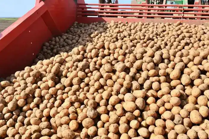 Карагандинская область: итоги года в сфере сельского хозяйства (2)