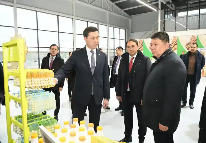 Заместитель Премьер-министра ознакомился с развитием малой промышленной зоны «Тумар» как модели для поддержки бизнеса в регионе.