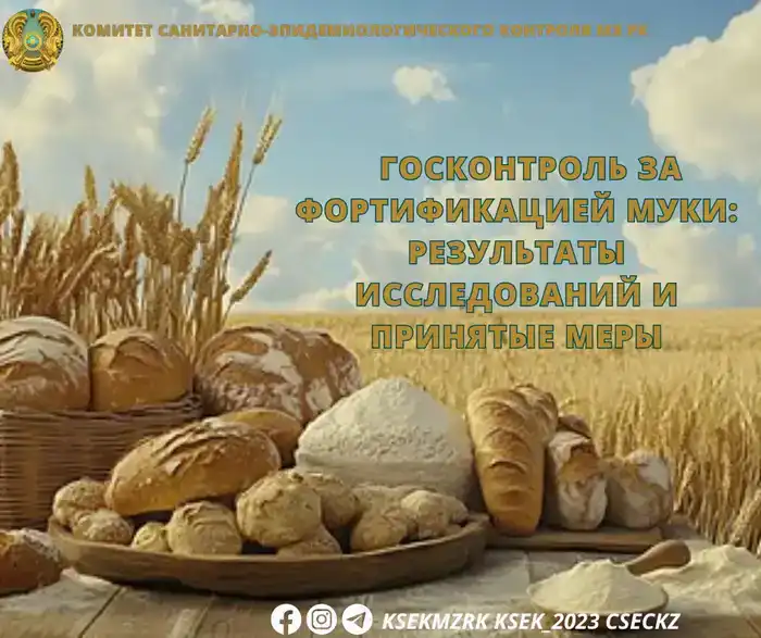 Результаты исследования муки выявили несоответствие стандартам по содержанию железа и цинка