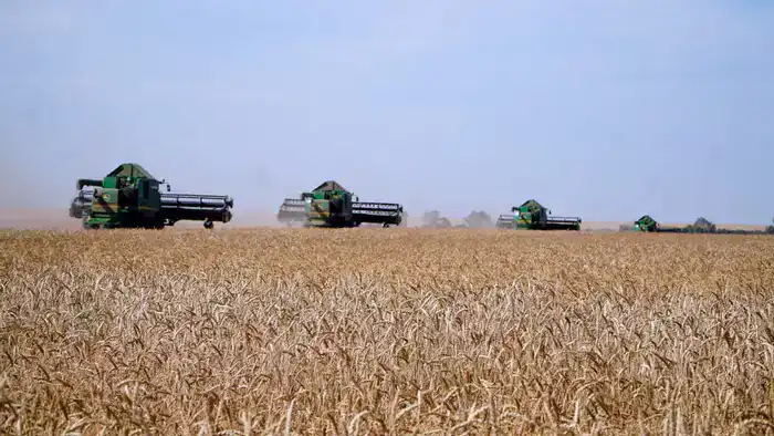 Акмолинская область: лидер по валовому сбору зерна в Казахстане и новые возможности для экспорта