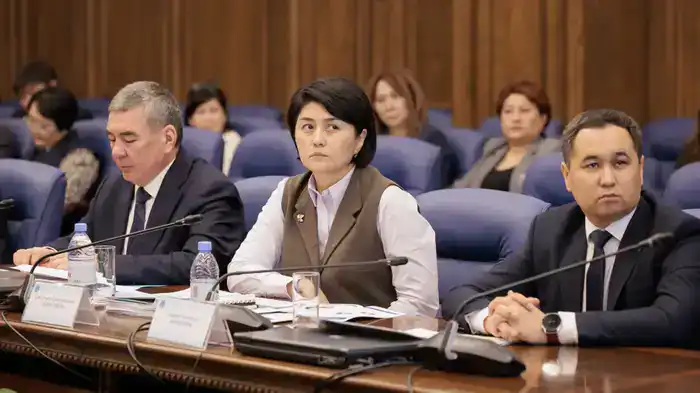 Итоги государственного аудита в Жамбылской области подведены в ВАП РК (8)