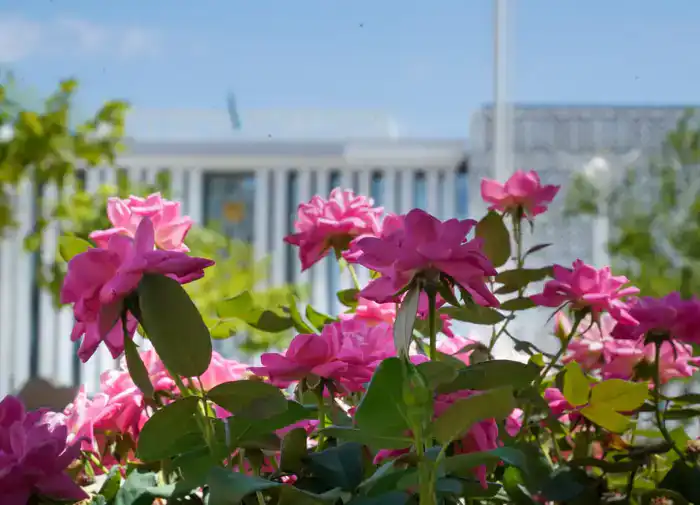 В ТУРКЕСТАНСКОЙ ОБЛАСТИ УЛУЧШИЛАСЬ ТУРИСТИЧЕСКАЯ ИНФРАСТРУКТУРА И ВЫРОСЛО ЧИСЛО ИНОСТРАННЫХ ТУРИСТОВ (6)