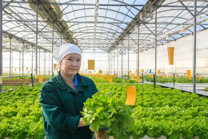 Рост предпринимательской активности в Жетісу: увеличение числа субъектов малого и среднего бизнеса на 4% в 2024 году