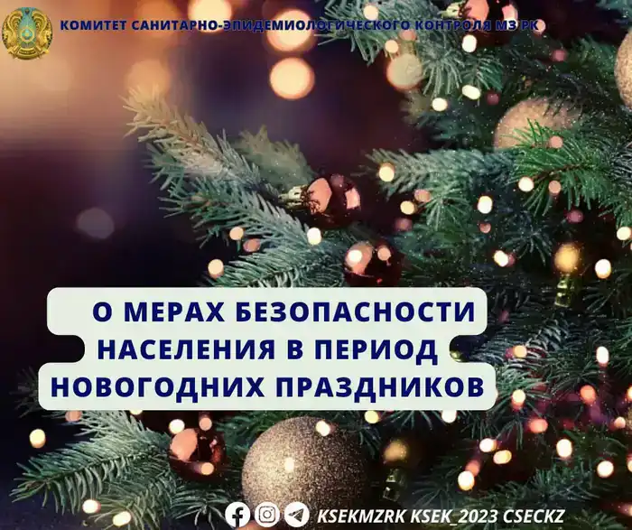 Риски для здоровья и безопасности населения в новогодний период: что необходимо знать