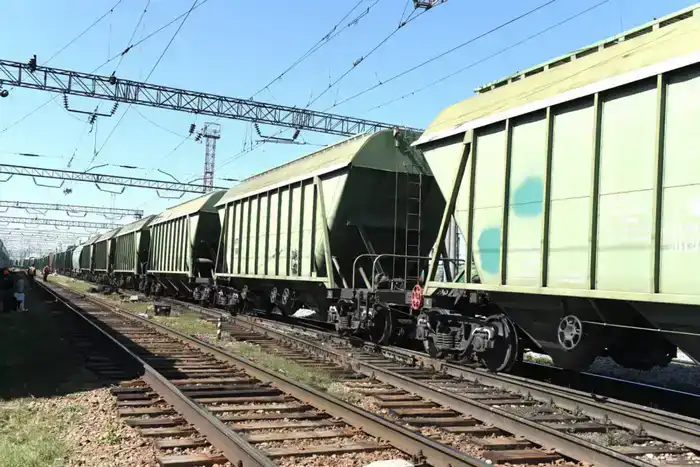 Зерно в путь: Казахстан увеличил экспорт в Центральную Азию!