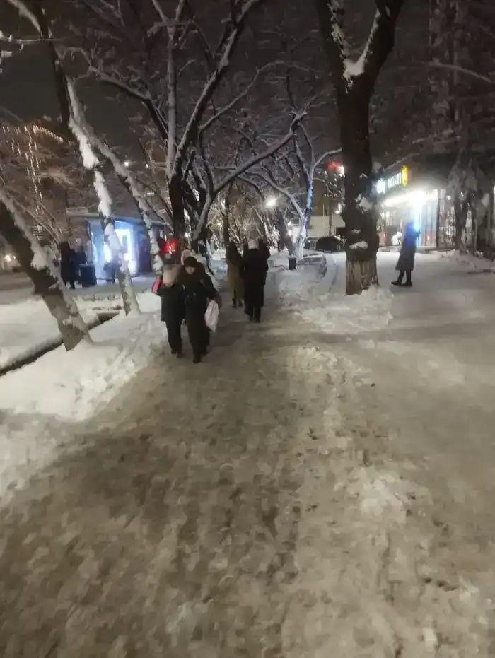 Около 1 200 единиц спецтехники заняты в снегоуборочных работах в Астане ночью (4)