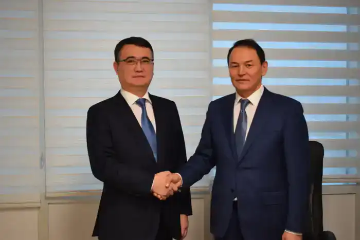 Назначение нового заместителя председателя Комитета внутреннего государственного аудита подчеркивает важность профессионального опыта в финансовом секторе