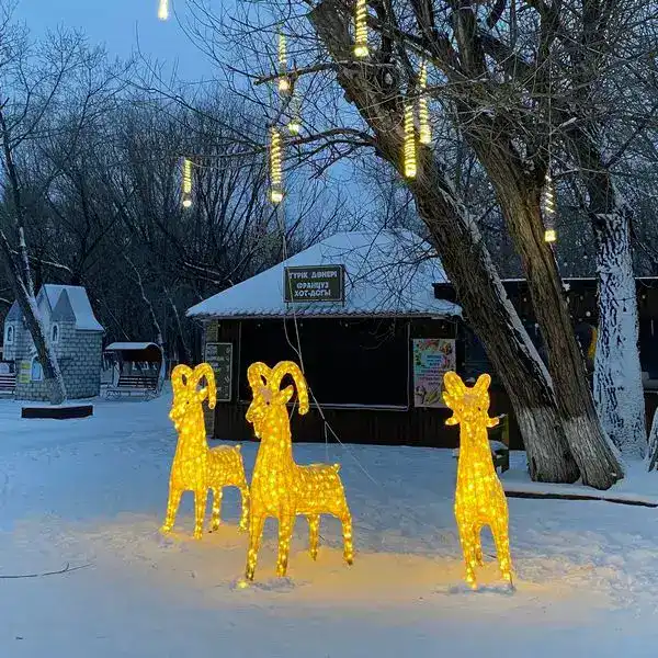 Немного волшебства: кто в Караганде создаёт новогоднюю атмосферу (9)