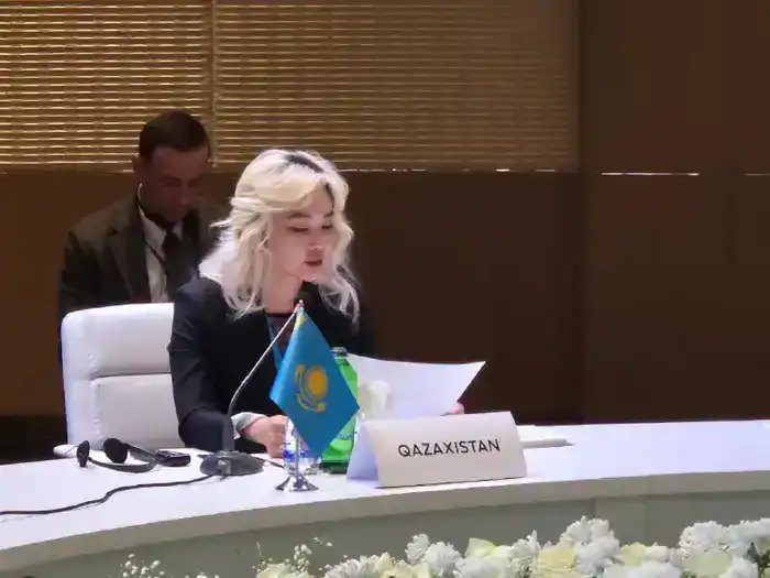 Казахстан представил цифровые инициативы на встрече министров труда ОТГ в Баку