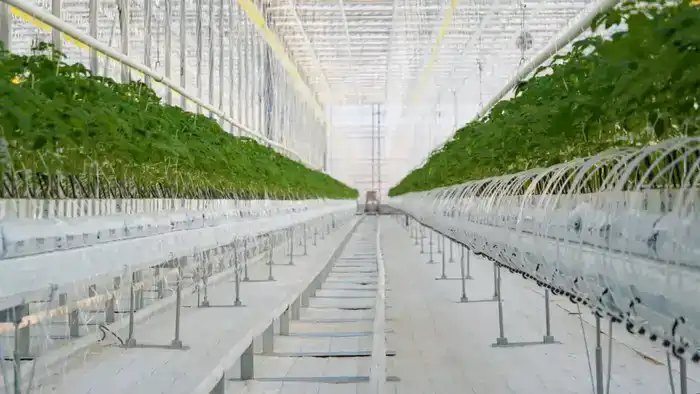 Туркестанская область: под прицелом агропромышленных инноваций