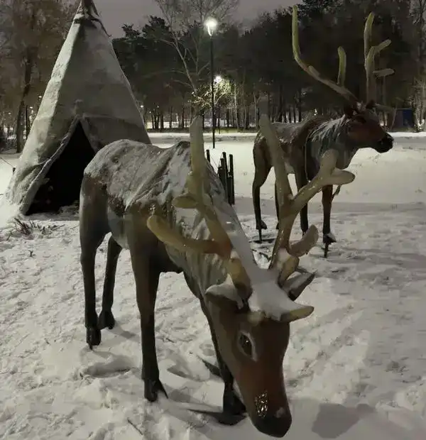 Немного волшебства: кто в Караганде создаёт новогоднюю атмосферу (5)