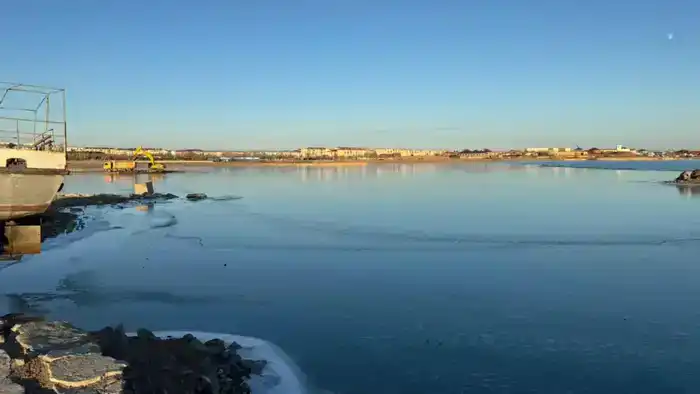 Очистка бухты Бертыс озера Балхаш: шаг к улучшению экологической ситуации в Карагандинской области