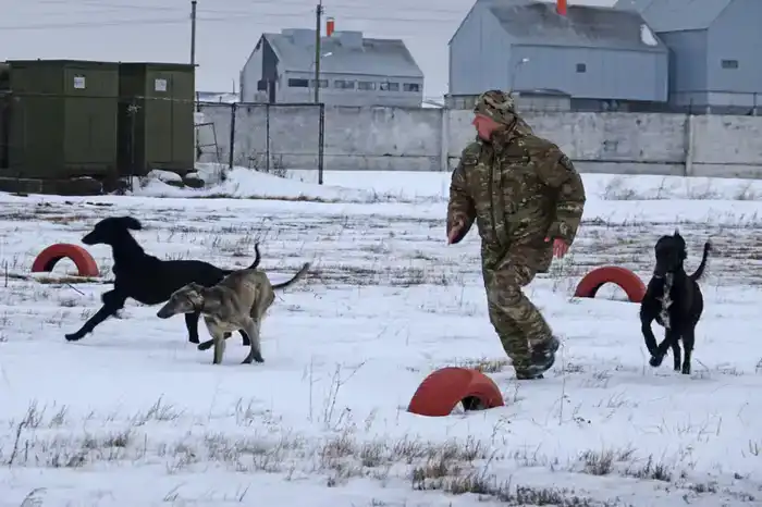 Четвероногий «солдат» служит в войсковой части Вооруженных сил (2)