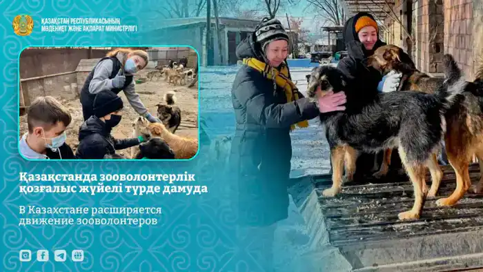 Рост зооволонтерства в Казахстане: проект 'Kazakhstan for Animals' объединяет регионы и участников Шымкенте