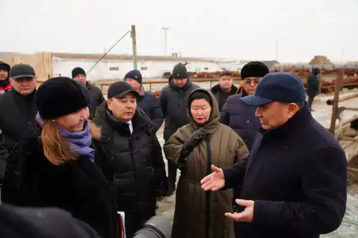 В Ерейментауском районе формируется крупный мясной кластер (2)