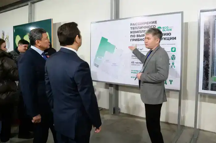 Самая крупная грибная ферма открыта в регионе (2)