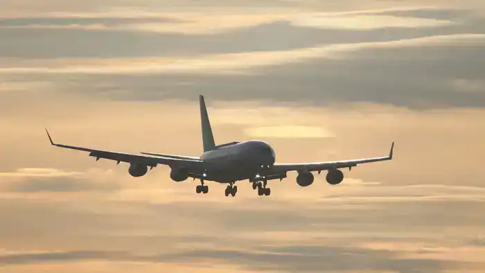 Шымкент и Тбилиси: новые горизонты дружбы и бизнеса!