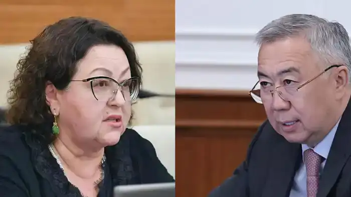 Депутат Ирина Смирнова раскритиковала работу госорганов, отвечающих за экономические реформы, поднимая вопрос об ответственности 'отцов экономической реформы' в условиях жестких требований.