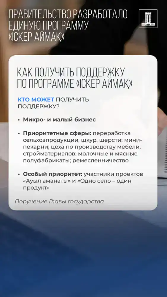 Реализация поручений Президента: Правительство представило единую программу поддержки малого бизнеса «Іскер аймақ» (4)