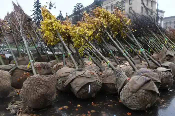 В Алматы до 2030 года планируется высадить еще 1,3 млн деревьев и кустарников (3)