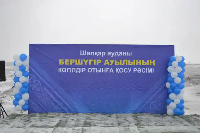 В трех селах Шалкарского района дали газ (4)