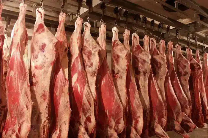 Мясной урожай: свыше 1 миллиона тонн продукции собрали за 11 месяцев 2025 года
